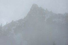20260207_142338