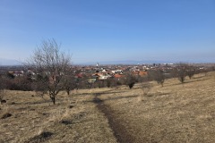 20260201_134319