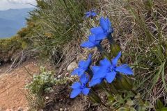 IMG-20260620-WA0065