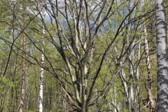 20260412_105634
