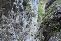 20260814_090217