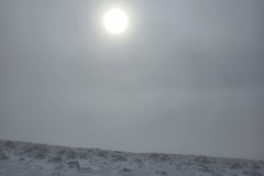 20260110_142517