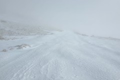 20260110_142519