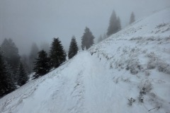 20260110_134144