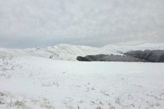 20260110_160619