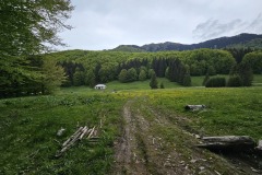 20250524_162940