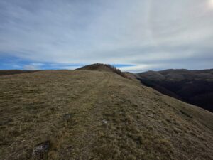 Varful Piscul Cainelui (1650m) din Muntii Baiului