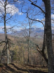 Vârful Onofreiu (895 m) – traseu nemarcat din Călimănești