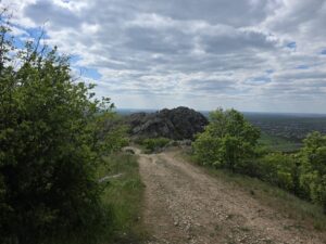 Trail Run / Drumetie usoara in Muntii Macin